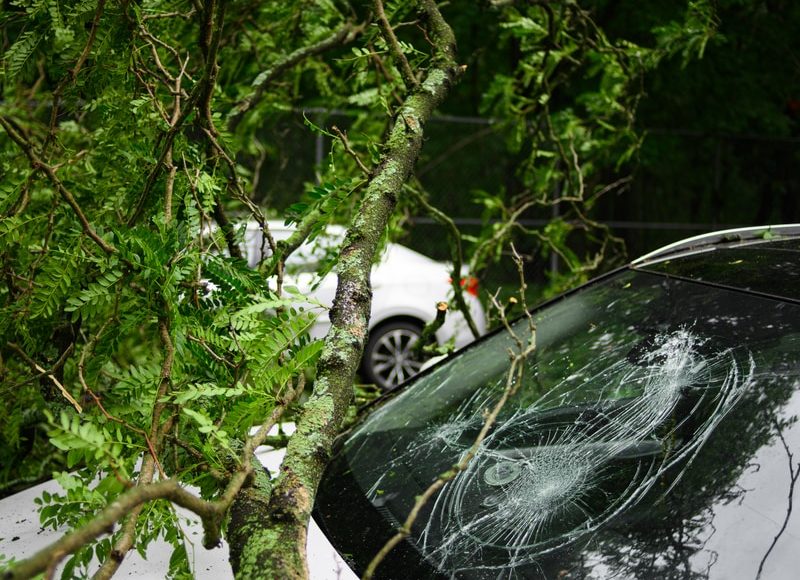 black car parked near green trees during daytime